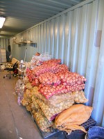 Hluti uppskerunnar á Bitru haustið 2010
